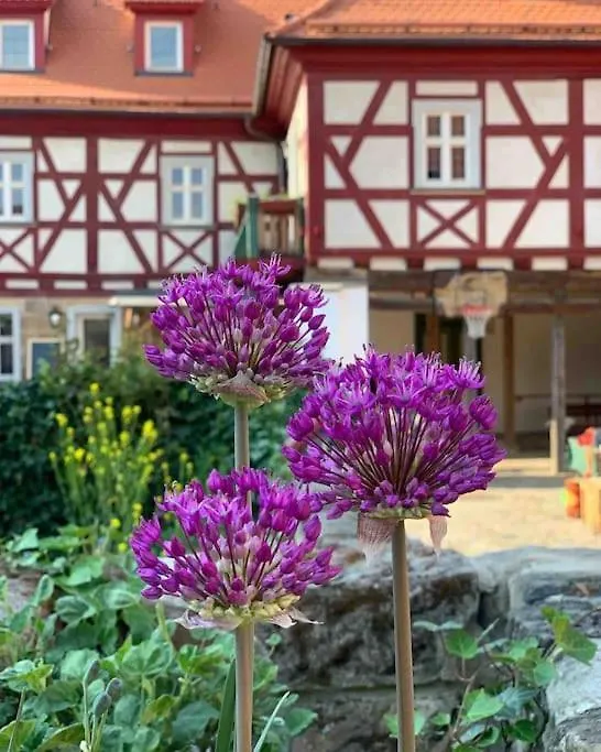 Lovely Room In A 18Th Century Manor Rattelsdorf