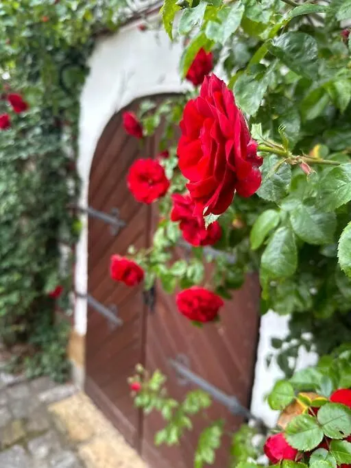 Lovely Room In A 18Th Century Manor Rattelsdorf Apartment